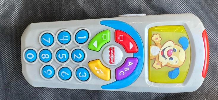 Laugh & Learn Puppy Remote Assorted