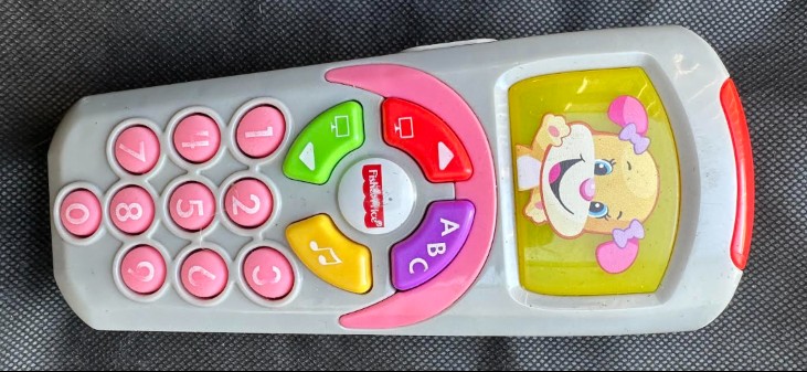 Laugh & Learn Puppy Remote Assorted - Pink